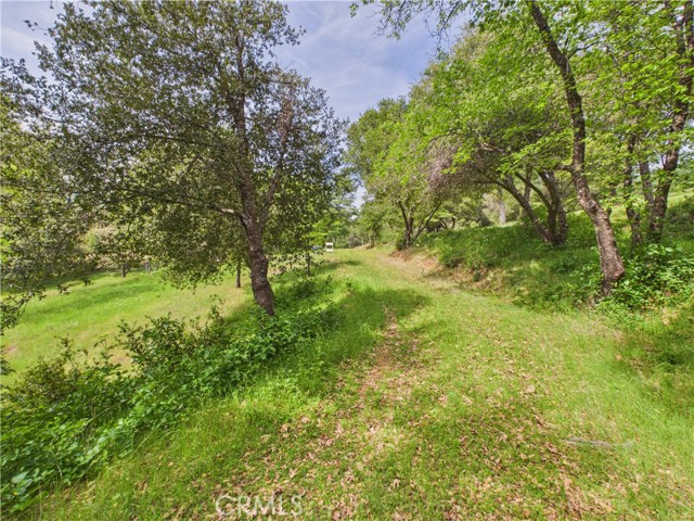 Detail Gallery Image 56 of 57 For 6650 Feliciana Mountain, Midpines,  CA 95345 - 3 Beds | 3 Baths