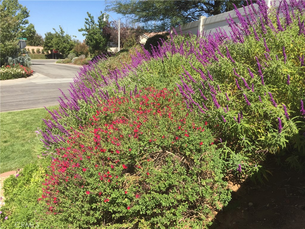 https://media.crmls.org/medias/bb4d3663-cdd8-41ef-8ba0-c5040a92cc4c.jpg?preset=X-Large