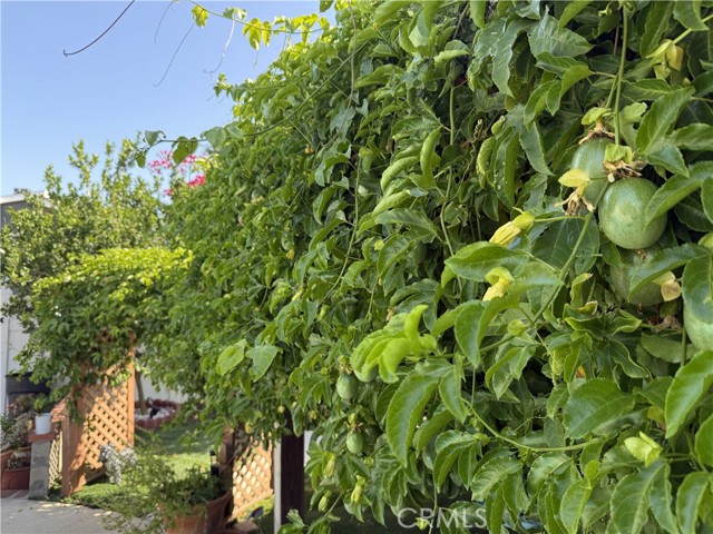 22158 Elkwood Street, Canoga Park CA: https://media.crmls.org/medias/bb503c00-c445-473f-83c8-38f06a794aa6.jpg