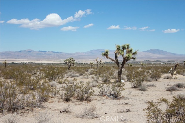 769 Meridian Road, Lucerne Valley CA: https://media.crmls.org/medias/bb5b9cae-b560-4024-a597-d9b27705f2b4.jpg