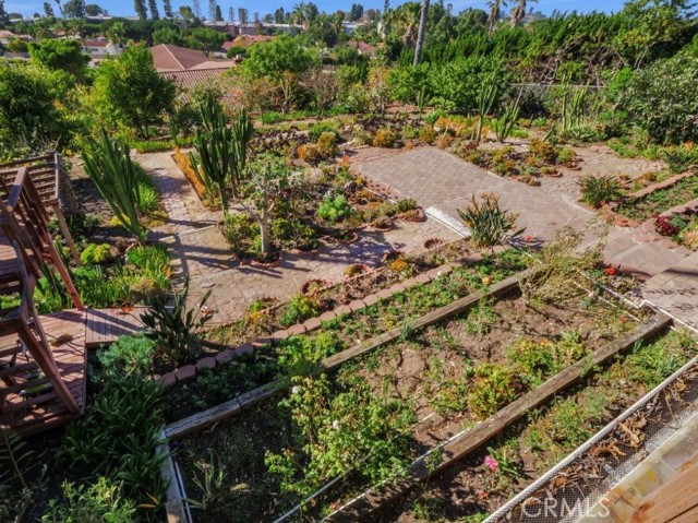 Spacious Backyard Garden