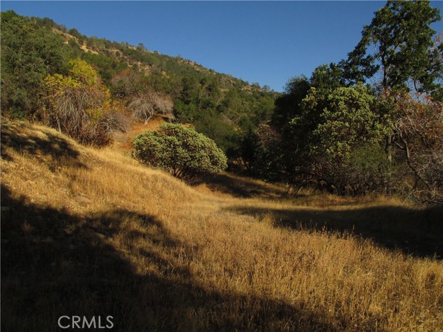 Detail Gallery Image 8 of 54 For 2 Ac Old Oaks Ct, North Fork,  CA 93643 - – Beds | – Baths