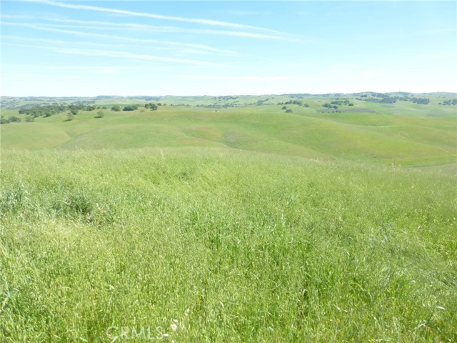 Detail Gallery Image 29 of 44 For 0 Douglas Rd. (Lot 34), San Miguel,  CA 93451 - – Beds | – Baths