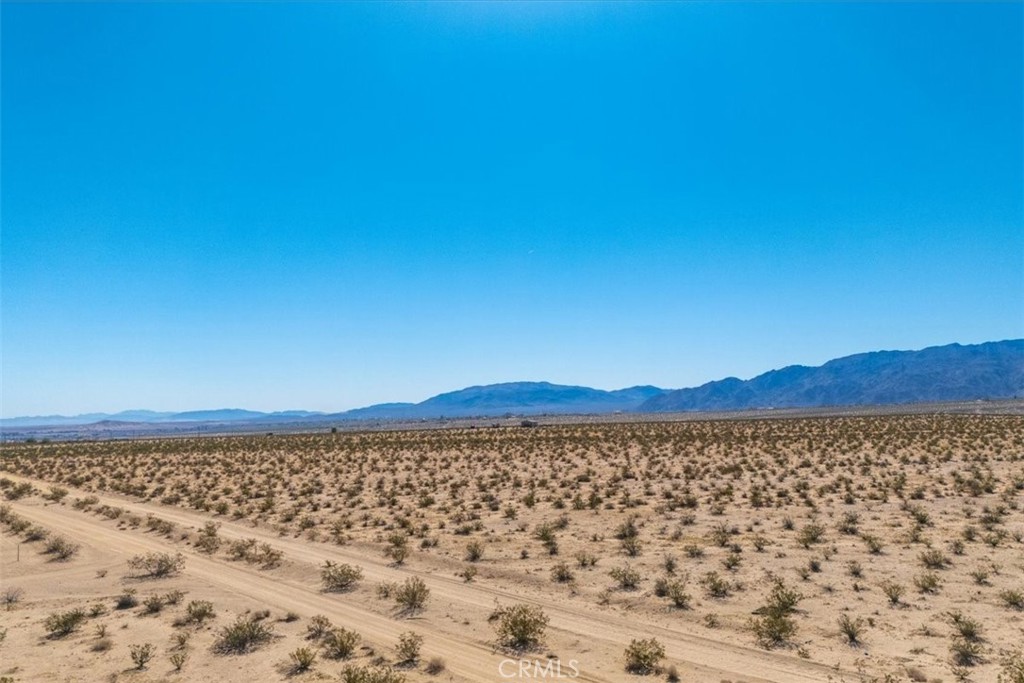 MLS #JT25225678 image #31