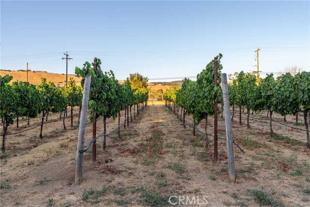 Detail Gallery Image 40 of 49 For 2143 Buena Vista Ave, Gilroy,  CA 95020 - 0 Beds | 1 Baths