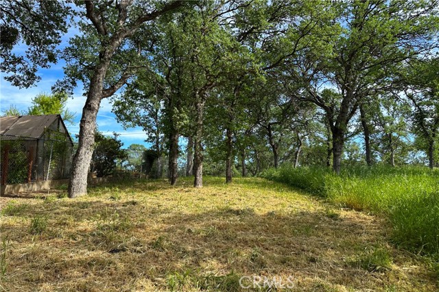 Detail Gallery Image 22 of 26 For 16475 River Heights Dr, Red Bluff,  CA 96080 - – Beds | – Baths