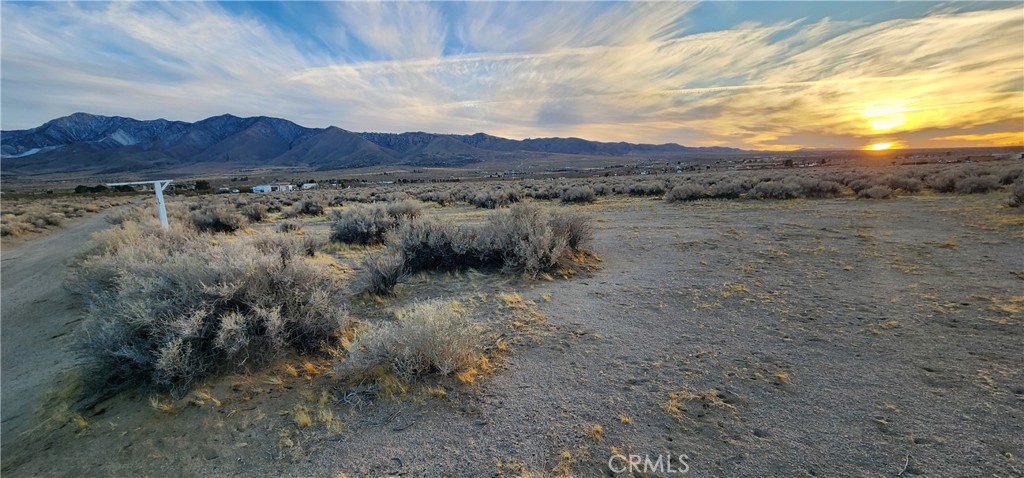 MLS #IV25049226 img 7