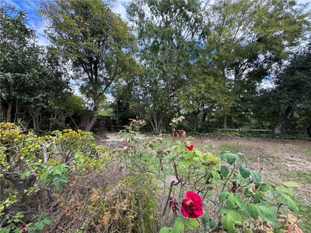 2212 Linda Flora Drive, Los Angeles CA: https://media.crmls.org/medias/bb78423d-6e21-47fe-a1d8-38e642810665.jpg