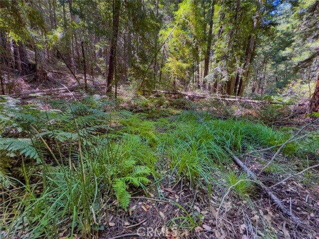 Detail Gallery Image 9 of 12 For 3700 Redwood Creek Rd, Willits,  CA 95490 - – Beds | – Baths