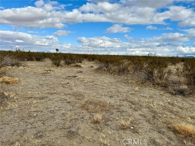 Detail Gallery Image 5 of 5 For 0 Dos Palmas Ave, Pinon Hills,  CA 92372 - – Beds | – Baths