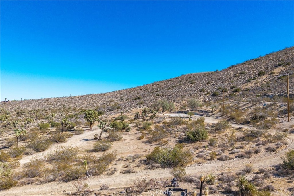 MLS #JT25259485 image #19