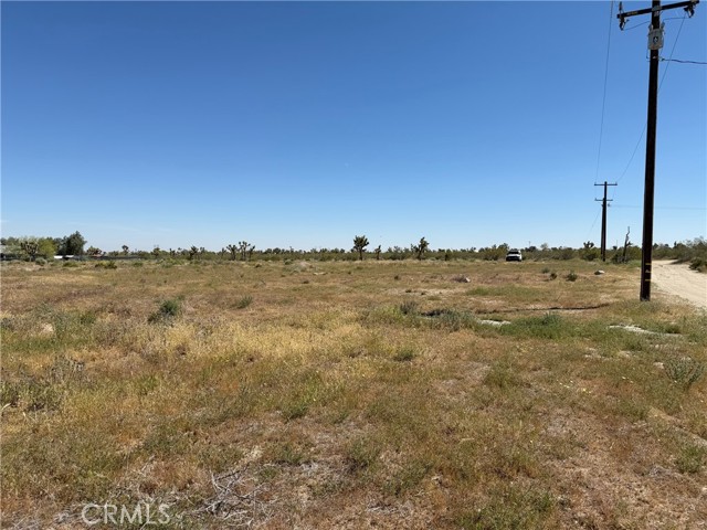 Front Image Thumbnail for CRDW26072216