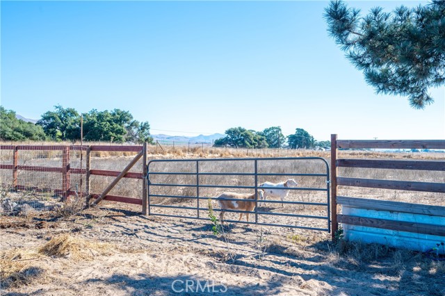 Detail Gallery Image 36 of 57 For 840 S Oak Glen Ave, Nipomo,  CA 93444 - 3 Beds | 2 Baths
