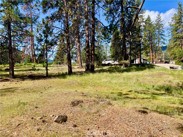 Image 7 of 54 For 0 S Lang Way