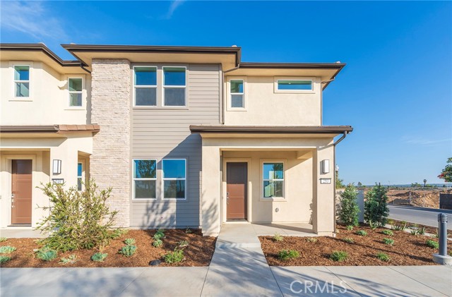 Front Image Thumbnail for CROC25253572