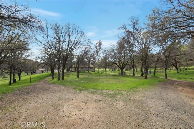 Detail Gallery Image 10 of 55 For 10447 Texas Hill Rd, Dobbins,  CA 95935 - 3 Beds | 2 Baths