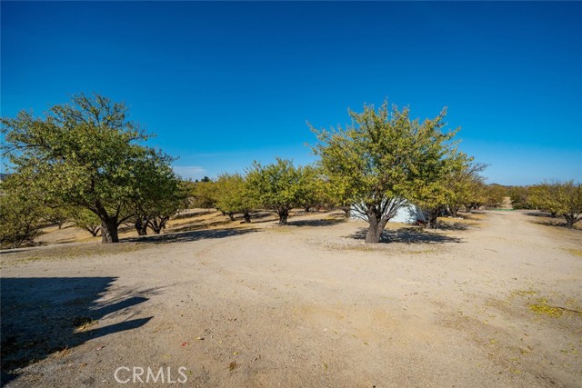 Detail Gallery Image 38 of 54 For 5395 Mustard Creek Rd, Paso Robles,  CA 93447 - 3 Beds | 3 Baths