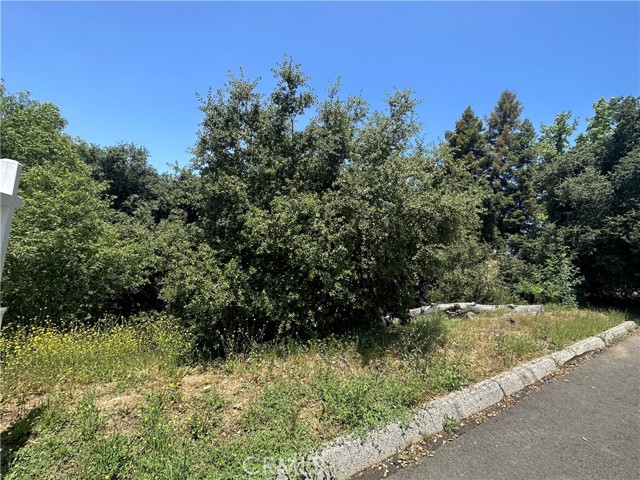 0 Oak Mountain Drive, Yucaipa, California 92399, ,Land,For Sale,0 Oak Mountain Drive,CRIG23148050