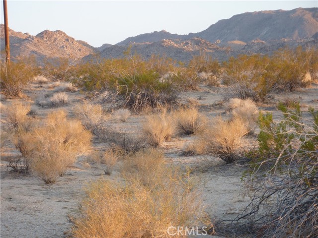 Detail Gallery Image 3 of 16 For 774 Manzanita Rd, Johnson Valley,  CA 92285 - – Beds | – Baths