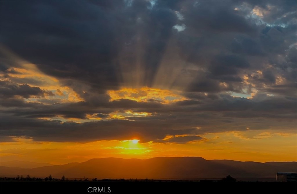 https://media.crmls.org/medias/bba44ae8-4b1c-42d0-95f3-516aae1b553a.jpg?preset=X-Large
