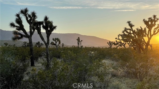 Detail Gallery Image 1 of 6 For 0 Vac/Llano Cut off/Vic 180th St E, Palmdale,  CA 93591 - – Beds | – Baths