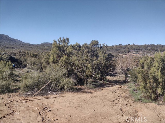 37400 Tripp Flat Road, Anza, California 92539, ,Land,For Sale,37400 Tripp Flat Road,CRSW23021079