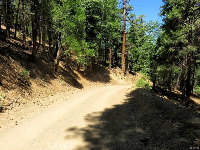 8 Mojave River Road, Cedarpines Park, California 92322, ,Land,For Sale,8 Mojave River Road,CREV22198971