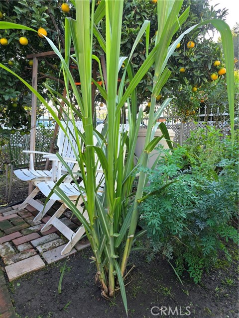 Detail Gallery Image 18 of 22 For 351 E 92nd, Los Angeles,  CA 90003 - 3 Beds | 2 Baths