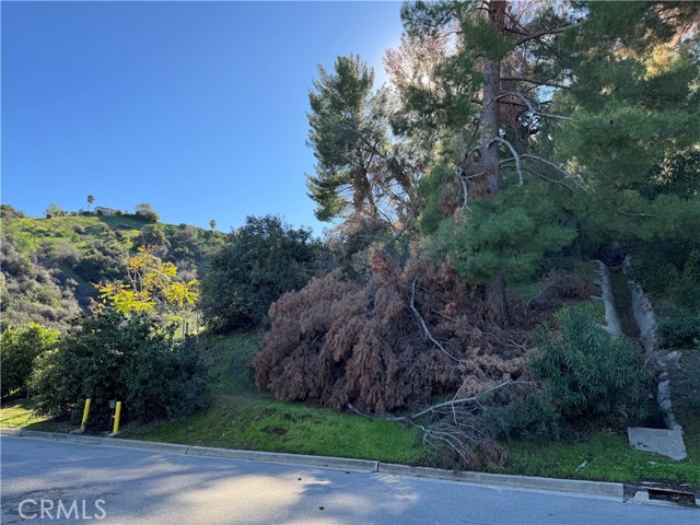 Detail Gallery Image 3 of 19 For 3 Ambar Dr, Woodland Hills,  CA 91364 - – Beds | – Baths