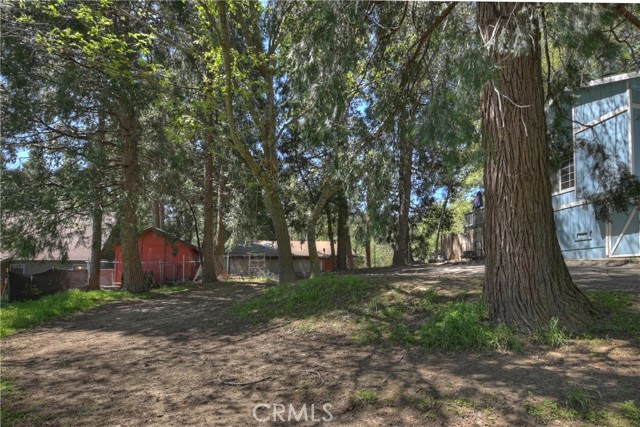 Detail Gallery Image 8 of 37 For 22365 Pine Dr, Cedarpines Park,  CA 92322 - 4 Beds | 2 Baths