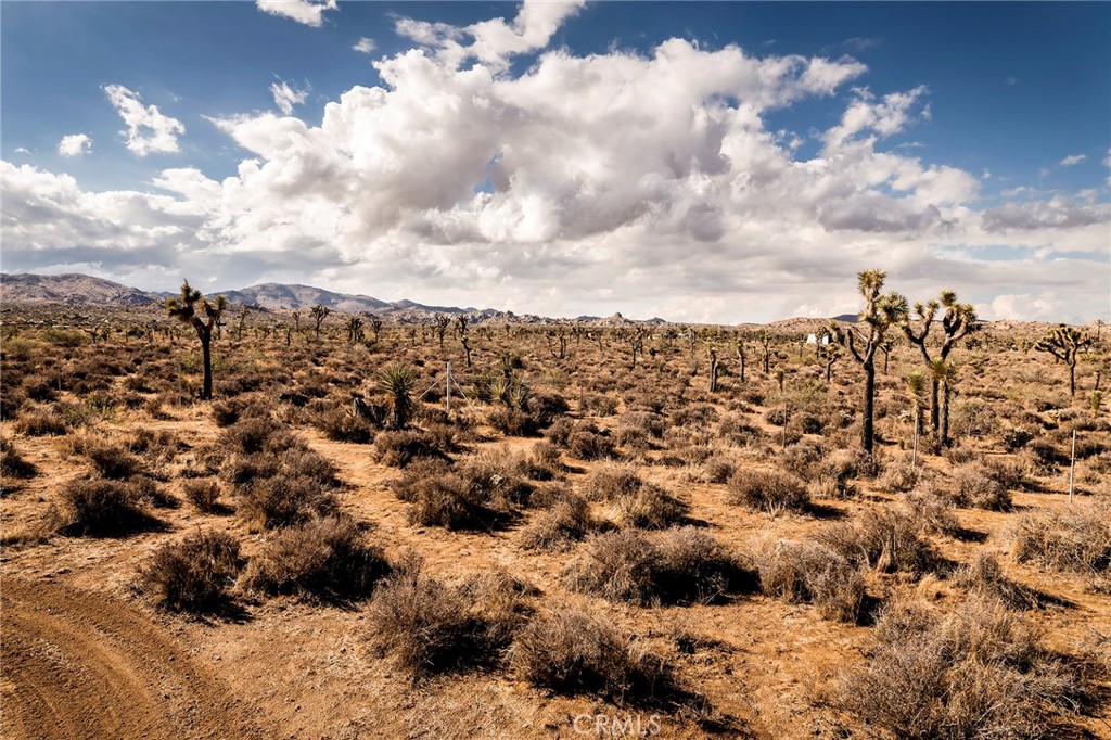 MLS #JT25252986 image #42