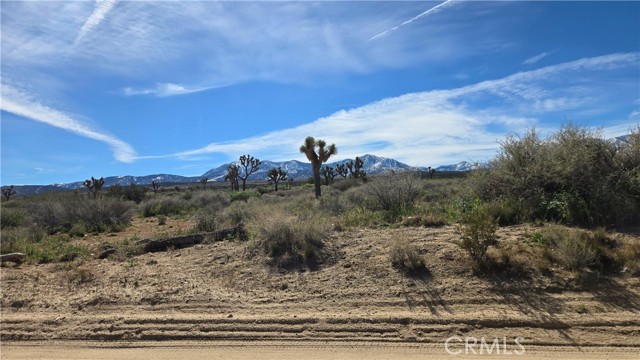 Detail Gallery Image 5 of 50 For 0 Fort Tejon Rd Vicinity 181st St E, Llano,  CA 93544 - – Beds | – Baths