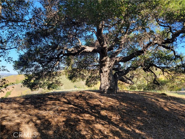 Detail Gallery Image 3 of 8 For 28343 Foothill Dr, Agoura Hills,  CA 91301 - – Beds | – Baths