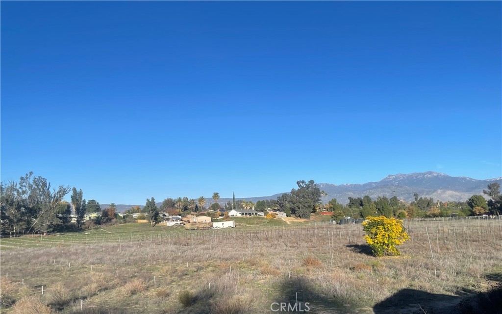 MLS #WS25276306 image #30