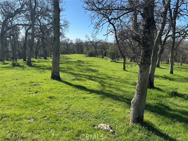 Detail Gallery Image 29 of 32 For 471 Ac - Hwy 49n, Mariposa,  CA 95338 - – Beds | – Baths