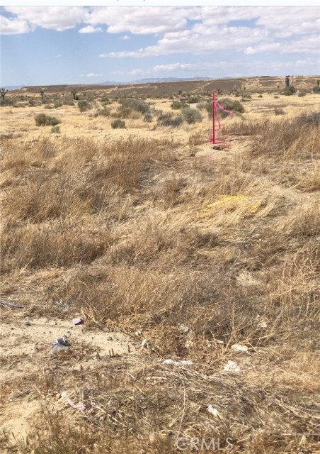 Front Image Thumbnail for CRPW26029597