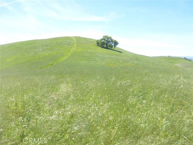 Detail Gallery Image 19 of 44 For 0 Douglas Rd. (Lot 34), San Miguel,  CA 93451 - – Beds | – Baths