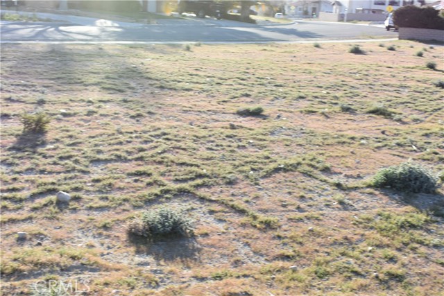 Detail Gallery Image 19 of 20 For 26456 Blue Water, Helendale,  CA 92342 - – Beds | – Baths