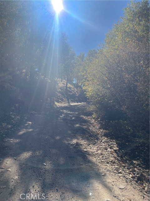 Detail Gallery Image 3 of 5 For 0 Acacia Rd, Cedar Glen,  CA 92321 - – Beds | – Baths