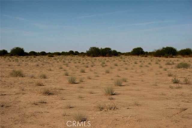 Front Image Thumbnail for CRPW25266443