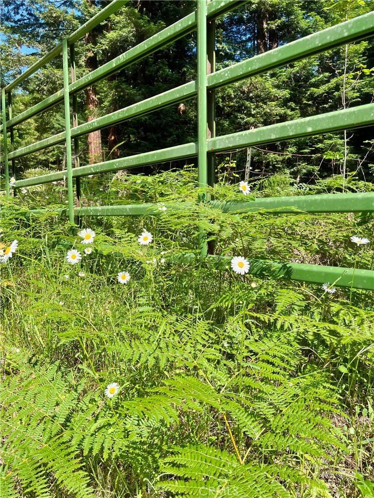 MLS #LC25132464 image #14