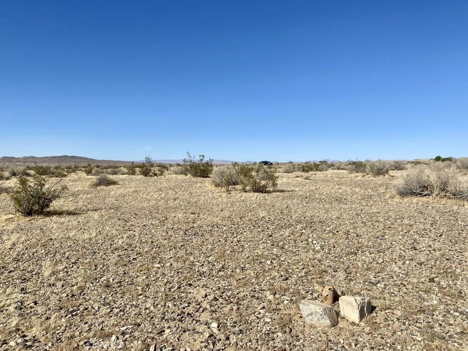 MLS #HD25100082 image #4