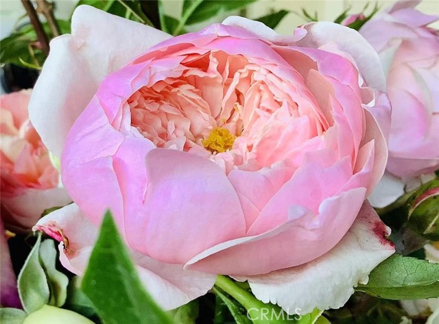 Detail Gallery Image 36 of 39 For Address Is Not Disclosed, Gardena,  CA 90249 - 5 Beds | 4 Baths