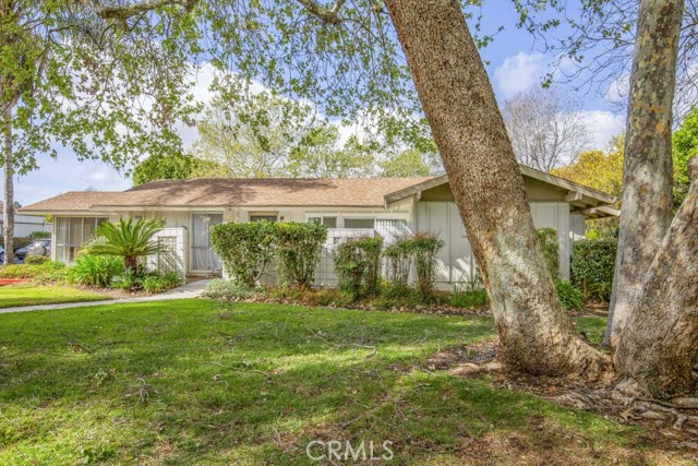 Front Image Thumbnail for CROC26083178