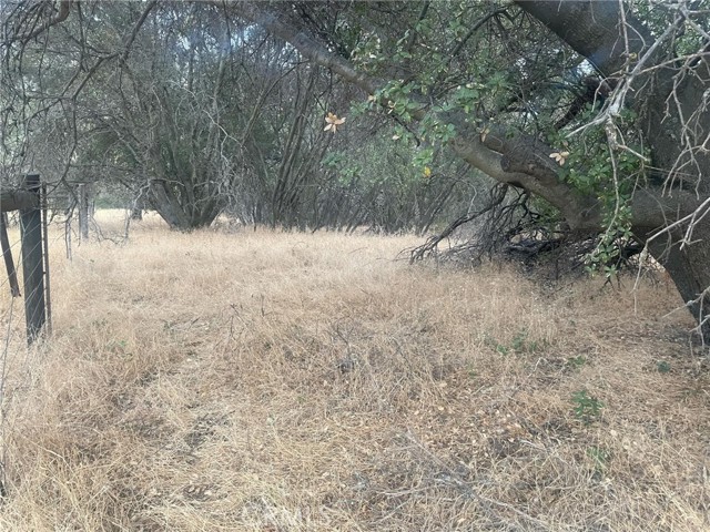 Detail Gallery Image 3 of 19 For 43020 Apache Ranch Rd, Ahwahnee,  CA 93601 - – Beds | – Baths