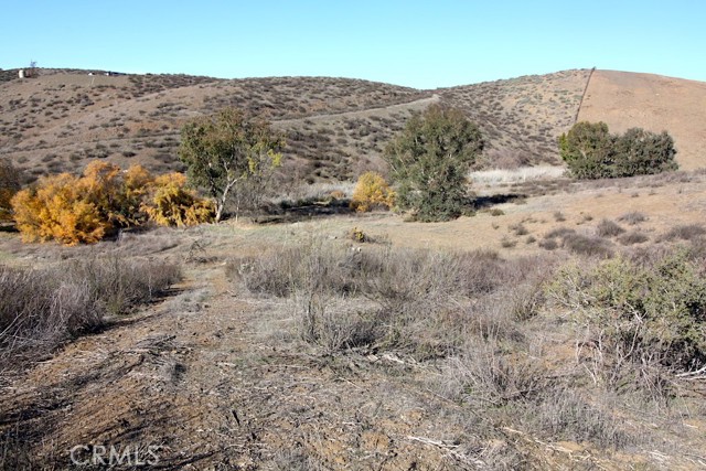 33687 N Sidney Circle, Winchester CA: https://media.crmls.org/medias/bc152067-b650-4f0e-8e2b-1807e9958a09.jpg