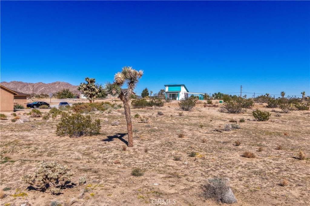 MLS #JT25246808 image #10