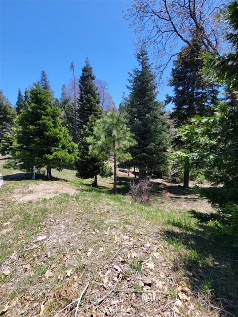 281 Ponderosa Peak, Lake Arrowhead, CA, 92352 281 Ponderosa Peak, Lake Arrowhead, CA, 92352