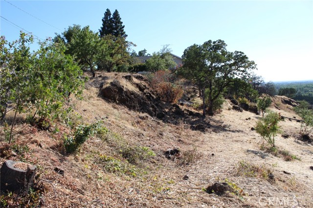 0 Rim Rock Drive, Chico, California 95928, ,Land,For Sale,0 Rim Rock Drive,CRPA23111697