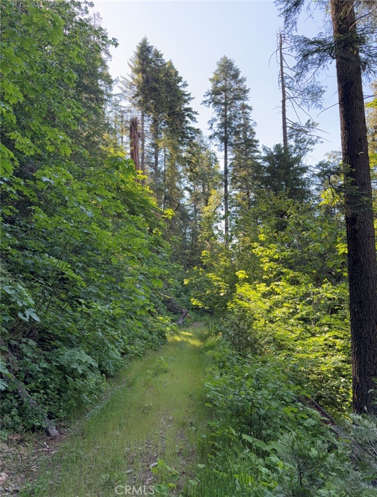 https://media.crmls.org/medias/bc28610a-0273-465c-b0be-c083283cdc11.jpg?preset=X-Large